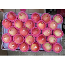 Supple High Quality&Competitive Price Royal Gala Apple